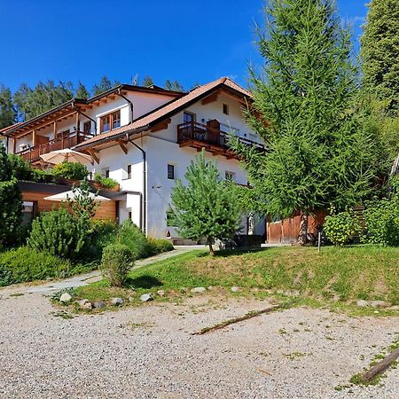Apartments Im Winkl Брунико Экстерьер фото